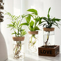 Vaso Decorativo Vidro, peça de vasos decorativos da VivaCasa — imagem 5