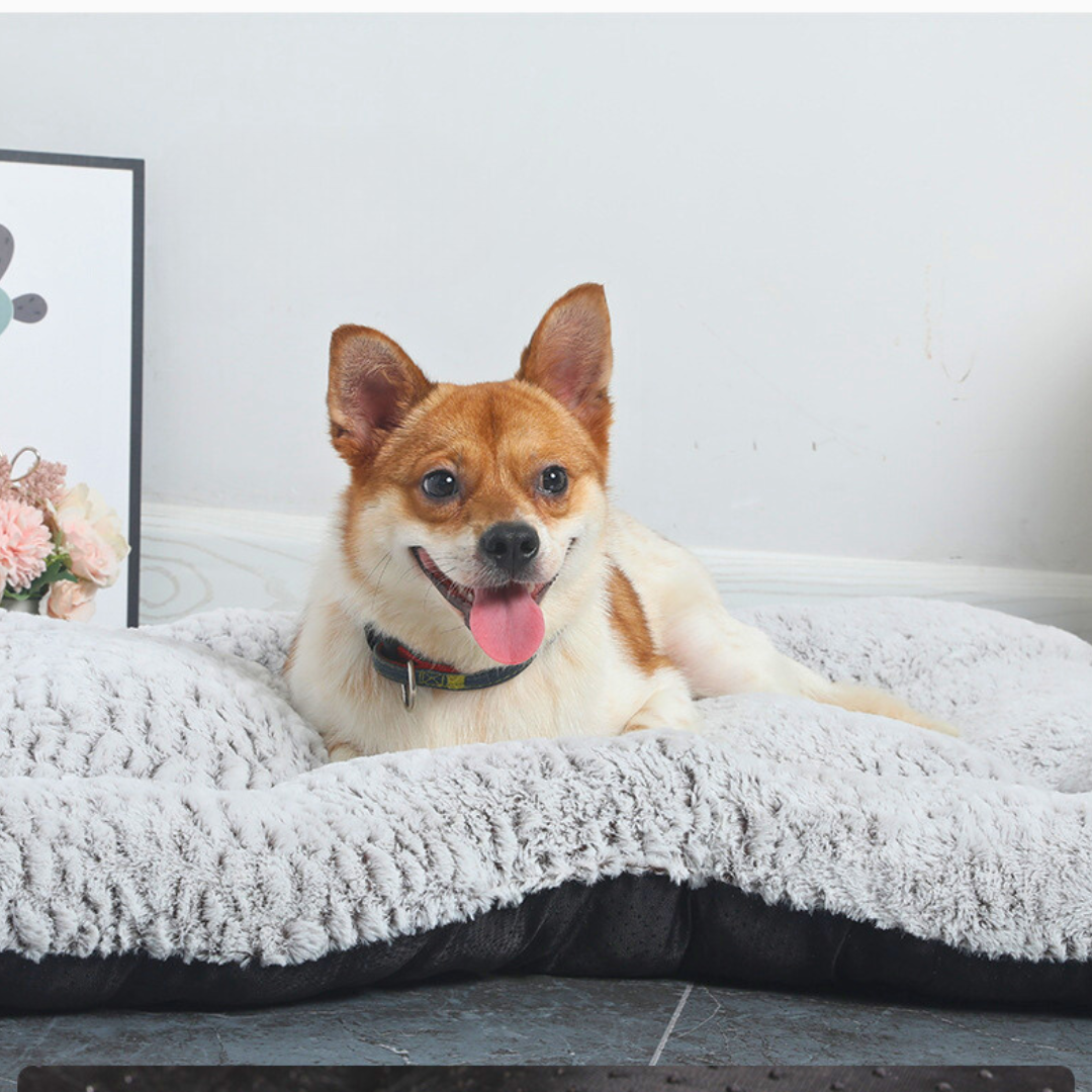 Tapete Ossinho | Para Cachorro e Gato