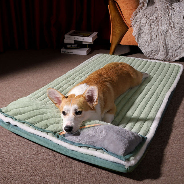 Cama Deluxe | Para Cachorro e Gato Verde