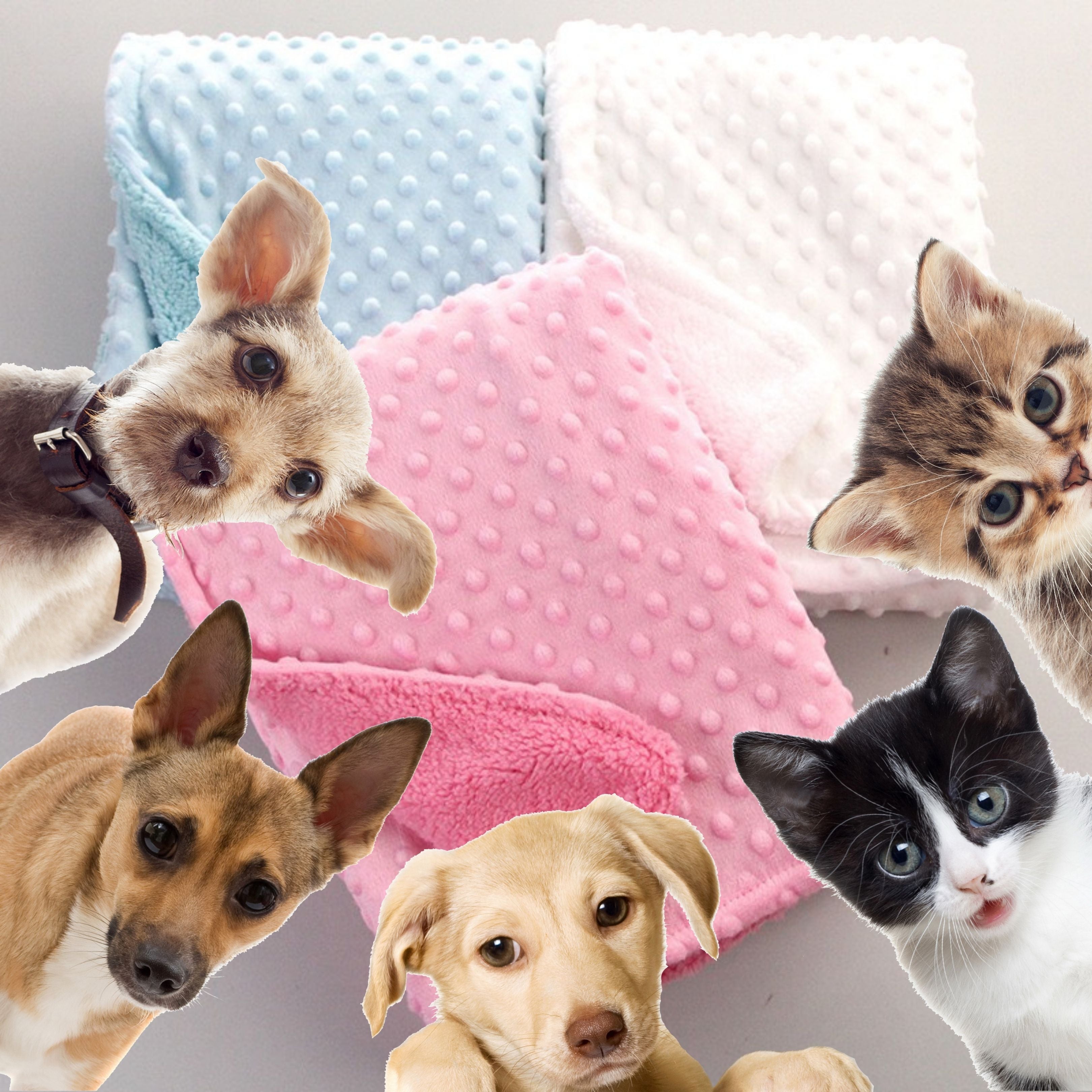 Cobertor Baby Pet | Para Cachorro e Gato