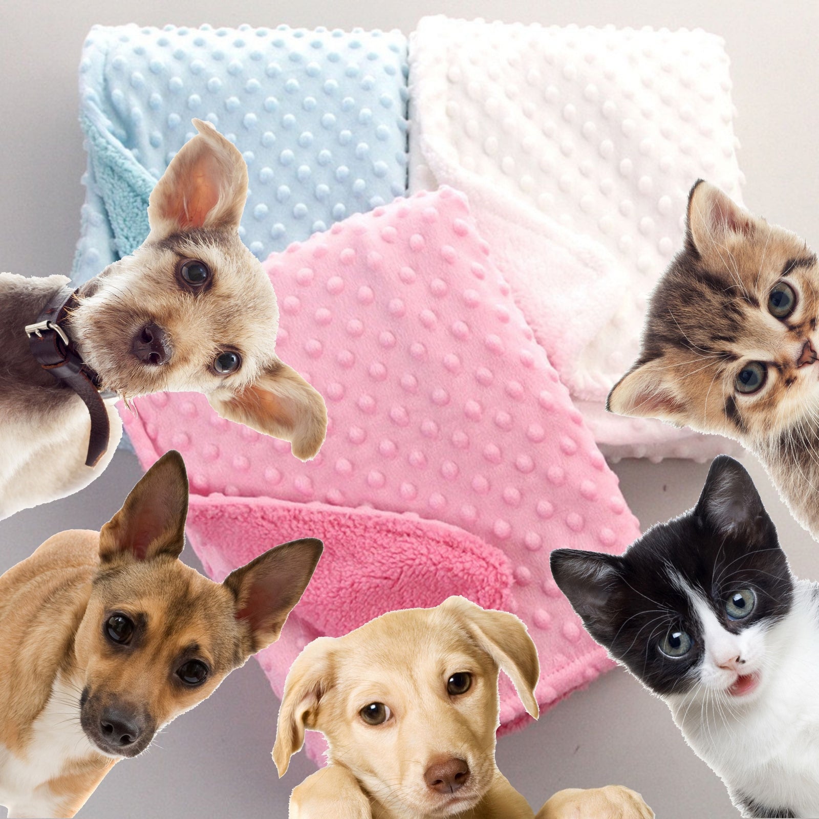 Cobertor Baby Pet | Para Cachorro e Gato