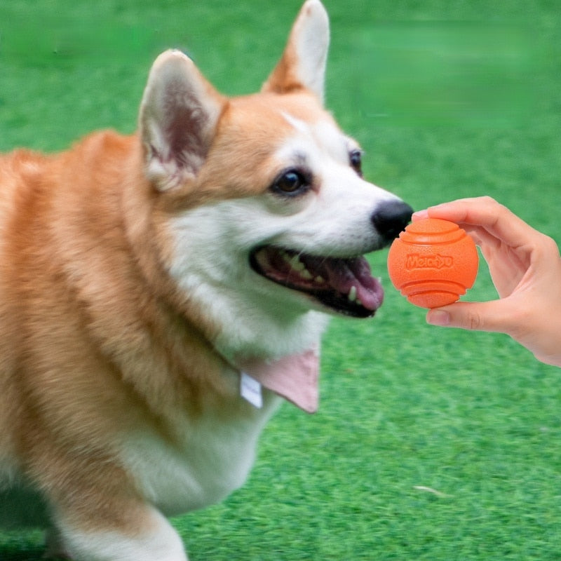 SolidBall - Bolinha maciça indestrutível para cachorros