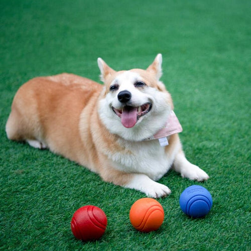 SolidBall - Bolinha maciça indestrutível para cachorros