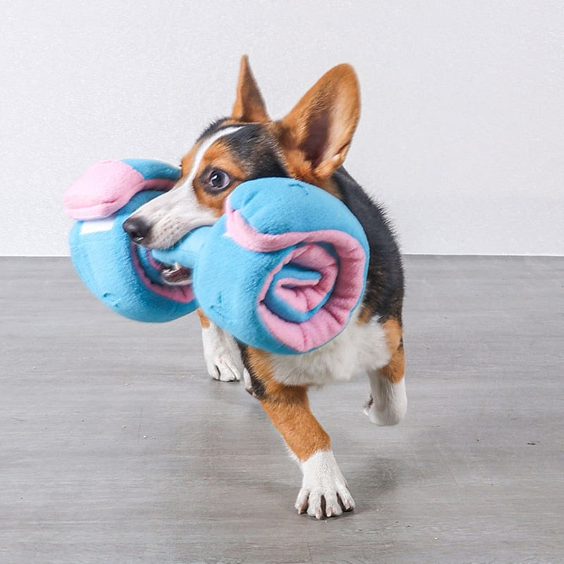 Brinquedo Haltere para Cães Zeny Azul