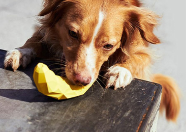 Brinquedo Porta Petiscos Snicky Toy Banana