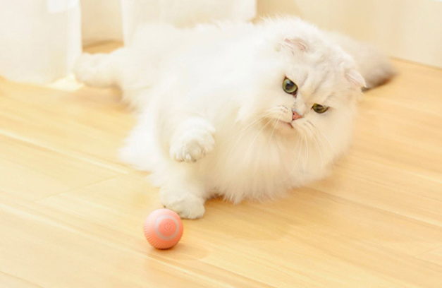Bola Interativa para Pets Bionic Rosa